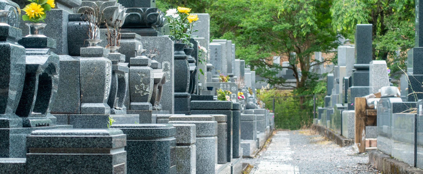 お盆の様子（墓前の花）